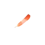 plume rédaction web copywriting seo